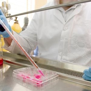 Un chercheur travaillant avec des cellules souches dans un laboratoire
